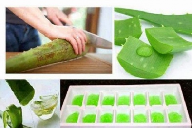 Những công dụng bất ngờ từ cây nha đam