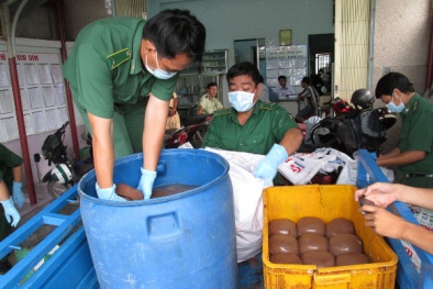 Nhậu tiết thối, chấm mắm tôm dòi