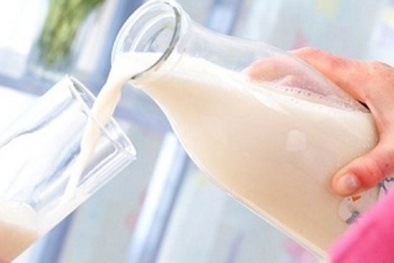 Ung thư, tiểu đường vì... sữa!