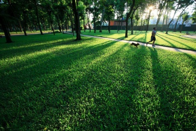 Dự báo thời tiết hôm nay ngày 17/10: Bắc bộ đón gió Đông Nam ẩm, thời tiết dịu mát 