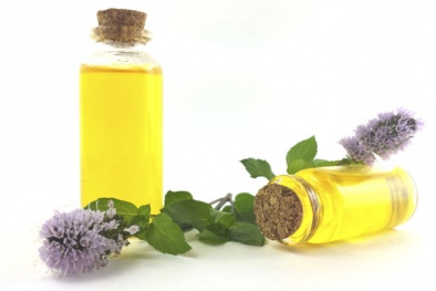 Phát hiện tinh dầu hoa oải hương gây kích ứng da 