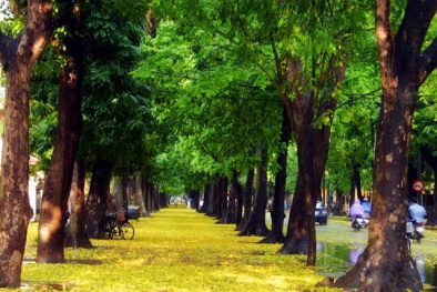 Những con đường chụp ảnh mùa thu Hà Nội đẹp nhất