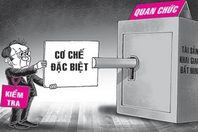 Triệu quan chức kê khai tài sản, chỉ 1 người bị xử lý: Thanh tra Chính Phủ lên tiếng