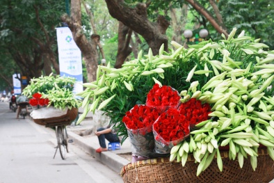 Dự báo thời tiết ngày mai 29/10: Bắc bộ mưa rào rải rác, đêm và sáng trời chuyển lạnh