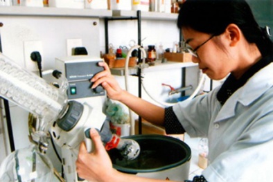 Việt Nam tăng hạng về Chỉ số đổi mới toàn cầu