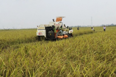 Ưu tiên kinh phí thực hiện Chương trình KHCN phục vụ xây dựng nông thôn mới