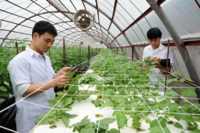Kinh phí khoa học công nghệ 2014 