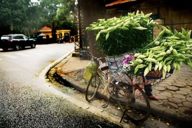 Dự báo thời tiết ngày mai 3/11: Bắc bộ khô ráo trở lại