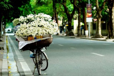 Dự báo thời tiết hôm nay ngày 4/11: Khí lạnh dồn xuống miền Trung, Bắc bộ có nắng