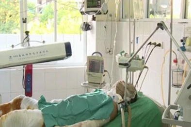 Người duy nhất sống sót vụ trực thăng rơi đã nói chuyện