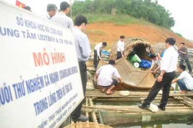 Bộ KH&CN sẽ đề xuất cơ cấu, tỷ lệ chi ngân sách khoa học công nghệ