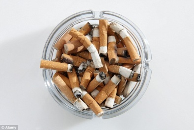 Khói thuốc lá gây béo phì