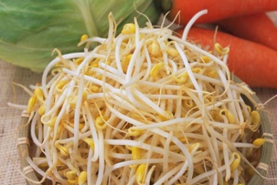 Giá đỗ nhiễm khuẩn gây chết người