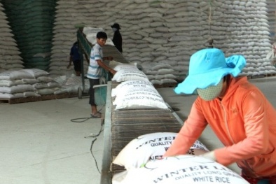 Thị trường Đăng ký và nhận 60K 24 bao lì xì miễn phí mỗi ngày Việt Nam đầy tiềm năng