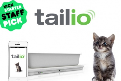 Tailio- Chiếc hộp thông minh theo dõi 13Win19 ưu đãi hấp dẫn những chú mèo