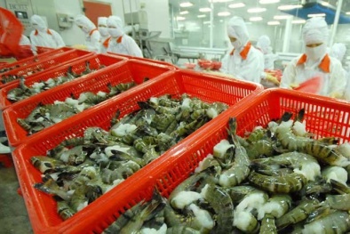 Đọc báo mới nhất hôm nay ngày 24/11: Những thông tin mới nhất