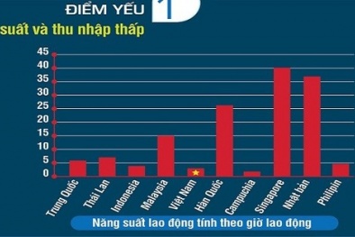 'Chảy máu chất xám ở Việt Nam đang gia tăng'