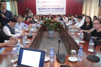 Kết nối hệ sinh thái nghiên cứu