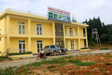 Dừng dự án nước ngoài trên đèo Hải Vân