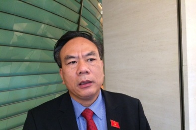 'Đại biểu quốc hội không phải lĩnh vực nào cũng giỏi'