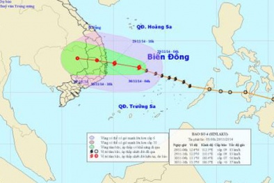 Đọc báo hôm nay: Những tin tức mới nóng nhất ngày 29/11