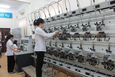 Đồng Tháp: Sai phạm về tiêu chuẩn đo lường chất lượng ở mức thấp