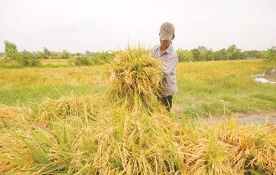 Bộ trưởng NN&PTNT Cao Đức Phát: Tôi muốn nhà khoa học lương 200 triệu đồng/tháng