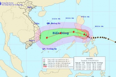Đọc báo hôm nay: Tin tức mới cập nhật ngày 8/12