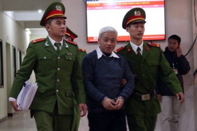 Viện kiểm sát đang kết luận, đánh giá kháng cáo của Bầu Kiên