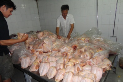 Nhận biết 13Win OKVIP Cá cược bóng đá an toàn: Cách nhận biết gà Trung Quốc