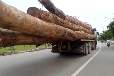 Xử lý 'xã hội đen' thao túng xe chở hàng quá khổ và quá tải 