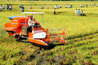 Phó Thủ tướng Hoàng Trung Hải chỉ đạo tái cơ cấu Đăng ký và nhận 60K 24 bao lì xì miễn phí mỗi ngày gắn với nông thôn mới