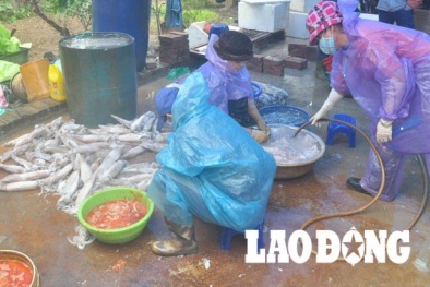 Kinh hoàng chiêu thức dùng oxy già tẩy trắng mực bẩn, đầu độc người tiêu dùng