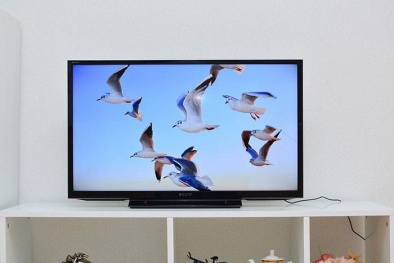 Mẫu tivi LED Sony giá rẻ được ưa chuộng tại Việt Nam 