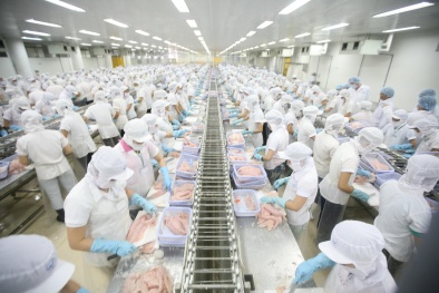 Đại gia thủy sản miền Tây đồng loạt điêu đứng vì đâu?