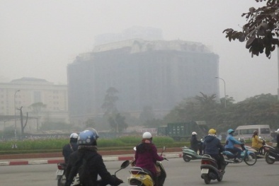 Dự báo thời tiết ngày mai 24/1/2015: Cả nước xuất hiện sương mù vào sáng sớm, độ ẩm cao