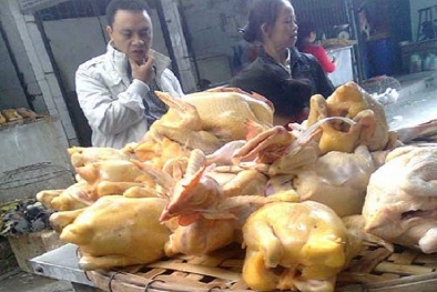 ‘Gà mía’ luộc sẵn bán giá rẻ thực chất là gà gì?