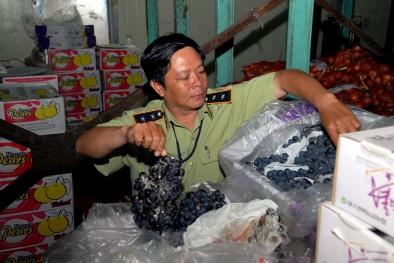 Bắt giữ hơn 30 tấn hoa quả, nước ép trái cây hư thối