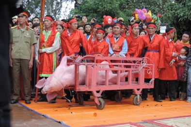 Người Bắc Ninh đã ngừng chém lợn công khai trong lễ hội 