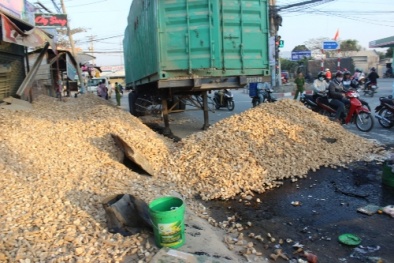 TP HCM: Container lật nhào, mưa khoai mì trút xuống nhà dân
