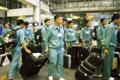 Đầu năm 2015 đã có gần 9.000 13Win18 cá cược thể thao đi làm việc ở nước ngoài