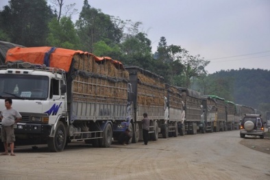 Ùn tắc cửa khẩu Tân Thanh, cả ngàn xe xe nông sản chết cứng