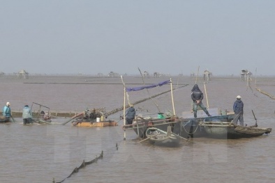 Bị đâm lật thuyền giữa sông, hai phụ nữ chết đuối