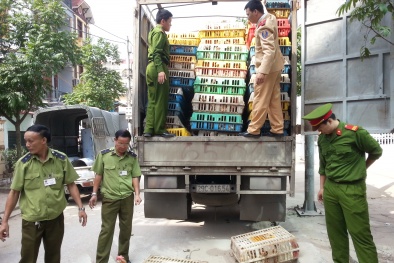 Phát hiện gần 3 tấn thịt gà, thịt lợn bẩn không rõ nguồn gốc