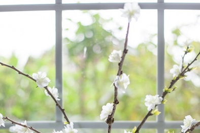 Trang trí nhà đón Tết với cành đào trắng handmade cực xinh