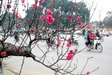 Dự báo thời tiết ngày mai 14/02/2015: Cuối tuần, xuất hiện mưa vừa mưa to ở các tỉnh miền Bắc