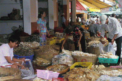  An toàn với cẩm nang chọn đồ khô