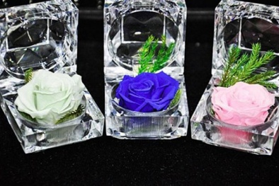 Quà tặng Valentine độc đáo đầy ý nghĩa cho các cặp đôi
