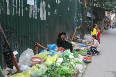 Đầu năm, chợ cóc được dịp 'hoành hành'
