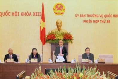 Không mở rộng quyền vận động bầu cử đại biểu Quốc hội